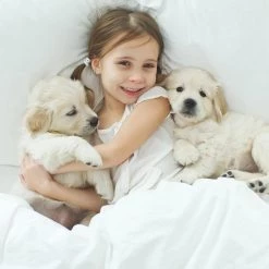 Pet Adobe 40x30 Waterproof Pet Throw Blanket, Tan -Animal&Pet Supplies store TG20Midco20LLC20dba20Trademark20Global20LLC 311760hyfxx4xx6f5619