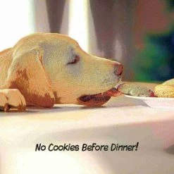 Pet Adobe Freestanding 3 Panel Pet Gate Wooden Folding Fence with Expandable Divider for Homes (Brown) -Animal&Pet Supplies store TG20Midco20LLC20dba20Trademark20Global20LLC 325355uuexx4xxc286b7