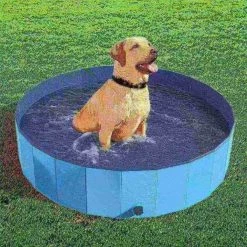 Pet Adobe Foldable Pool for Dogs and Kids, Blue