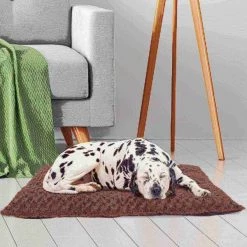 Pet Adobe Jumbo Cushion Pillow Pet Bed - Chocolate -Animal&Pet Supplies store TG20Midco20LLC20dba20Trademark20Global20LLC 372977ujwxx4xxfab3d5