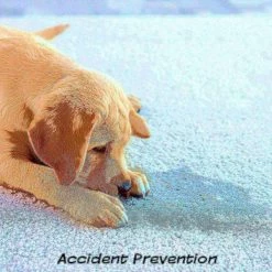 Pet Adobe Artificial Grass Replacement Mats, 23x18.5 -Animal&Pet Supplies store TG20Midco20LLC20dba20Trademark20Global20LLC 373787shaxx2xx23e41e