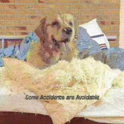 Pet Adobe Freestanding 24-inch Wooden Foldable Pet Gate Fence for Small Dogs or Cats | Indoor Use (Dark Brown) -Animal&Pet Supplies store TG20Midco20LLC20dba20Trademark20Global20LLC 394667gwxxx3xxc9b35e