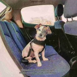 Pet Adobe Folding Stairs 4-Step Design, Side Rails and Foam Pads for Dogs, Cats and Puppies, Tan -Animal&Pet Supplies store TG20Midco20LLC20dba20Trademark20Global20LLC 431713dwvxx4xx05bad9