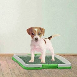 Pet Adobe Puppy Artificial Grass Potty Trainer Mat -Animal&Pet Supplies store TG20Midco20LLC20dba20Trademark20Global20LLC 433573rwpxx4xxb4ddee
