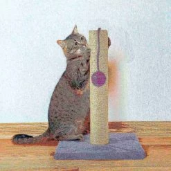 Pet Adobe Scratching Post with Sisal Rope, Toy, and Paw Shaped Base Interactive Play for Cats /Kitten |17-inch -Animal&Pet Supplies store TG20Midco20LLC20dba20Trademark20Global20LLC 466789mecxx4xx1b8b48
