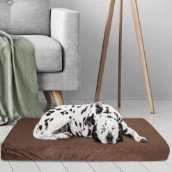 Pet Adobe Orthopedic Memory Foam 46x27 Brown Pet Bed -Animal&Pet Supplies store TG20Midco20LLC20dba20Trademark20Global20LLC 486425ynuxx5xx7a58a7