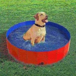 Pet Adobe Collapsible Dog Pool and Bath with Drain