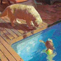 Pet Adobe Waterproof Memory Foam Pet Bed for Indoor/Outdoor Water Resistant and Washable Cover 30” x 21” Brown -Animal&Pet Supplies store TG20Midco20LLC20dba20Trademark20Global20LLC 491095htgxx6xx1e9406