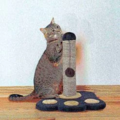 Pet Adobe Scratching Post with Sisal Rope, Toy, and Paw Shaped Base Interactive Play for Cats /Kitten |15-inch -Animal&Pet Supplies store TG20Midco20LLC20dba20Trademark20Global20LLC 517445ntcxx4xx7597ac