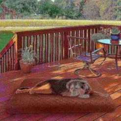 Pet Adobe Waterproof Memory Foam Pet Bed for Indoor/Outdoor Water Resistant and Washable Cover 44” x 35” Brown -Animal&Pet Supplies store TG20Midco20LLC20dba20Trademark20Global20LLC 530329vqkxx5xxd74d46