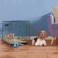 Pet Adobe Set of 2 Stainless Steel Hanging Pet Bowls, Cage, Kennel, for Food and Water | Dogs / Cats, 20-Fl Oz -Animal&Pet Supplies store TG20Midco20LLC20dba20Trademark20Global20LLC 549386beyxx3xx09fbdb