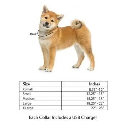 Pet Adobe LED Large Dog Collar for Night Visibility and Safety | Adjustable for Evening Walks/Runs (Blue) -Animal&Pet Supplies store TG20Midco20LLC20dba20Trademark20Global20LLC 559837wxdxx1xxd8fa59