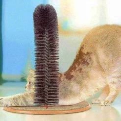 Pet Adobe Self-Grooming Cat Arch with Bristle Ring Brush and Base Groomer | Controlling Healthy Fur and Claws -Animal&Pet Supplies store TG20Midco20LLC20dba20Trademark20Global20LLC 560876jbmxx4xx7b900b