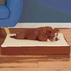 Pet Adobe Memory Orthopedic Foam Dog Bed- Sherpa Top and Removable Cover- 30x20.5x4, Brown -Animal&Pet Supplies store TG20Midco20LLC20dba20Trademark20Global20LLC 570736qwyxx5xxc87d03