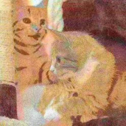 Pet Adobe 4-Tier Cat Tower and Kitty Condo, Gray -Animal&Pet Supplies store TG20Midco20LLC20dba20Trademark20Global20LLC 573223xyfxx4xx374f97