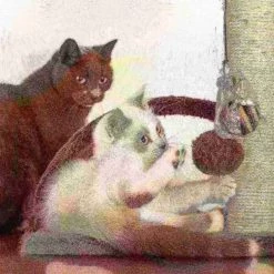 Pet Adobe 4-Tier Cat Tower and Kitty Condo, Gray -Animal&Pet Supplies store TG20Midco20LLC20dba20Trademark20Global20LLC 573223xyfxx5xx80c8ad