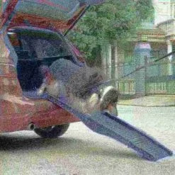 2180 Pet Adobe | Home and Car Folding Pet Ramp | Compact and Lightweight -Animal&Pet Supplies store TG20Midco20LLC20dba20Trademark20Global20LLC 578408lfoxx4xx98d9a4