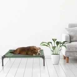 Pet Adobe Elevated Portable Pet Bed Cot-Style 30”x24”x7” for Dogs and Small Pets | Indoor/Outdoor (Green) -Animal&Pet Supplies store TG20Midco20LLC20dba20Trademark20Global20LLC 588609jjgxx6xxb764cb