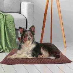 Pet Adobe X-Large Cushion Pillow Pet Bed - Chocolate -Animal&Pet Supplies store TG20Midco20LLC20dba20Trademark20Global20LLC 590206tytxx4xx22289a