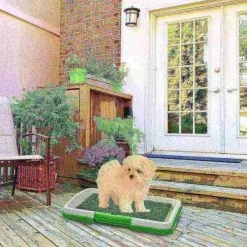 Pet Adobe Puppy Potty Trainer Artificial Grass Mat/Tray Portable Indoor Toilet Training for Puppies and Pets -Animal&Pet Supplies store TG20Midco20LLC20dba20Trademark20Global20LLC 631496gchxx4xx42c276