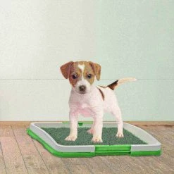 Pet Adobe Puppy Potty Trainer Artificial Grass Mat/Tray Portable Indoor Toilet Training for Puppies and Pets -Animal&Pet Supplies store TG20Midco20LLC20dba20Trademark20Global20LLC 631496gchxx5xx4e5e6f