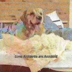 Pet Adobe Freestanding 3 Panel Pet Gate Wooden Folding Fence with Expandable Divider for Homes (Gray) -Animal&Pet Supplies store TG20Midco20LLC20dba20Trademark20Global20LLC 637768ghgxx3xxc56656