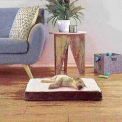 Pet Adobe Pet Bed Bamboo Charcoal Infused Odor Resistant Egg Crate Foam Orthopedic Cushion 26 x 19 x 2.75 -Animal&Pet Supplies store TG20Midco20LLC20dba20Trademark20Global20LLC 640662vemxx5xx1a7ad2