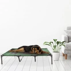 Pet Adobe Elevated Portable Pet Bed Cot-Style 48”x35.5”x9” for Dogs and Small Pets | Indoor/Outdoor (Green) -Animal&Pet Supplies store TG20Midco20LLC20dba20Trademark20Global20LLC 642010saixx5xx0af37c