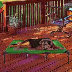 Pet Adobe Elevated Portable Pet Bed Cot-Style 48”x35.5”x9” for Dogs and Small Pets | Indoor/Outdoor (Green) -Animal&Pet Supplies store TG20Midco20LLC20dba20Trademark20Global20LLC 642010saixx6xxb82160