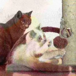 Pet Adobe 6-Tier Cat Tree Tower with Cat Bed, Brown -Animal&Pet Supplies store TG20Midco20LLC20dba20Trademark20Global20LLC 642397hvyxx5xx353717