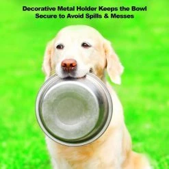Pet Adobe Stainless Steel Elevated 2-piece Pet Bowls with Decorative 3.5” Stand for Dogs/Cats (40-ounce Each) -Animal&Pet Supplies store TG20Midco20LLC20dba20Trademark20Global20LLC 655130hhuxx3xxc5a41d