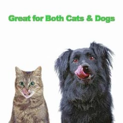 Pet Adobe Stainless Steel Elevated 2-piece Pet Bowls with Decorative 3.5” Stand for Dogs/Cats (40-ounce Each) -Animal&Pet Supplies store TG20Midco20LLC20dba20Trademark20Global20LLC 655130hhuxx4xx37f2bf