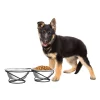 Pet Adobe Stainless Steel Elevated 2-piece Pet Bowls with Decorative 3.5” Stand for Dogs/Cats (40-ounce Each)