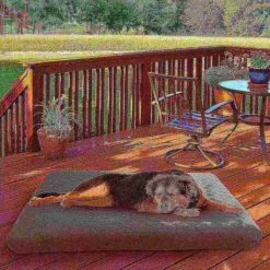 Pet Adobe Waterproof Memory Foam Pet Bed for Indoor/Outdoor Water Resistant and Washable Cover 44” x 35” Gray -Animal&Pet Supplies store TG20Midco20LLC20dba20Trademark20Global20LLC 658560dksxx5xx1eca32