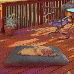 Pet Adobe Waterproof Memory Foam Pet Bed for Indoor/Outdoor Water Resistant and Washable Cover 36” x 27” Gray -Animal&Pet Supplies store TG20Midco20LLC20dba20Trademark20Global20LLC 673550dyfxx5xxb377a5