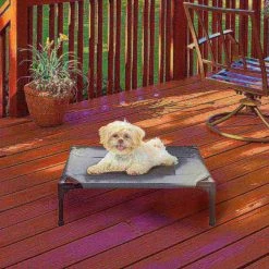 Pet Adobe Elevated Portable Pet Bed Cot-Style 24.5”x18.5”x7” for Dogs and Small Pets | Indoor / Outdoor -Animal&Pet Supplies store TG20Midco20LLC20dba20Trademark20Global20LLC 698759vvsxx5xx653d99