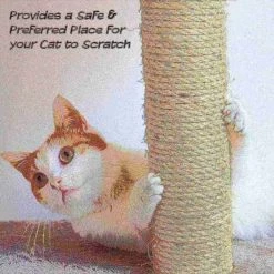 Pet Adobe Interactive Cat Scratching Pole | Built-In Rolling Ball and Track Toy for Adult Cats and Kitten -Animal&Pet Supplies store TG20Midco20LLC20dba20Trademark20Global20LLC 700925pxlxx4xxe69795