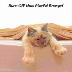 Pet Adobe Interactive Cat Scratching Pole | Built-In Rolling Ball and Track Toy for Adult Cats and Kitten -Animal&Pet Supplies store TG20Midco20LLC20dba20Trademark20Global20LLC 700925pxlxx5xx9b3593