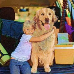 Pet Adobe Bi-Fold Pet Ramp, Lightweight with Safe Non-Slip Traction Surface and Raised Sides for Cars, SUVs -Animal&Pet Supplies store TG20Midco20LLC20dba20Trademark20Global20LLC 709422xrpxx4xxa8e5f7