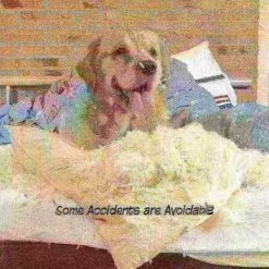 Pet Adobe Freestanding 3 Panel Pet Gate (White) -Animal&Pet Supplies store TG20Midco20LLC20dba20Trademark20Global20LLC 724265ipnxx3xx9b64e4