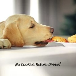 Pet Adobe Freestanding Gate, 24-inch Foldable Wooden Doorway Barrier for Small Dogs, Puppies, White -Animal&Pet Supplies store TG20Midco20LLC20dba20Trademark20Global20LLC 726142zjexx4xxc98d97