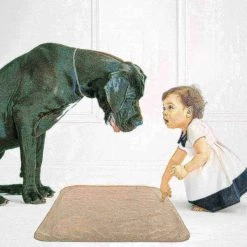 Pet Adobe Set of 2 Stainless Steel Hanging Pet Bowls Dishes for Food and Water | Dogs / Cats 48-Fl Oz -Animal&Pet Supplies store TG20Midco20LLC20dba20Trademark20Global20LLC 746719pjwxx3xx74ce27