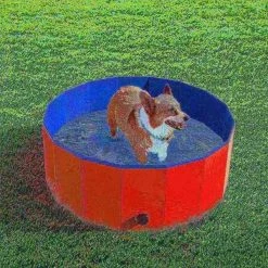 Pet Adobe Pet Pool and Bathing Tub-Foldable with Carrying Bag, Travel Friendly for Dogs, Cats and Pets 30x12