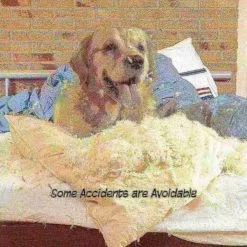 Pet Adobe Freestanding 3 Panel Pet Gate (White) -Animal&Pet Supplies store TG20Midco20LLC20dba20Trademark20Global20LLC 765530dlcxx3xxd7e394