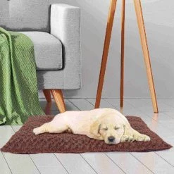 Pet Adobe Large Cushion Pillow Pet Bed - Chocolate -Animal&Pet Supplies store TG20Midco20LLC20dba20Trademark20Global20LLC 772161tztxx4xx08ce4d