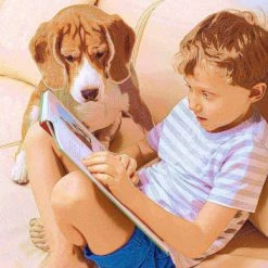 Pet Adobe Folding Pet Stairs with Carpeted Foldable Wood for Home /Travel, Dogs, Cats, Pets up to 80-pounds -Animal&Pet Supplies store TG20Midco20LLC20dba20Trademark20Global20LLC 772617dgmxx4xx2ba0fd