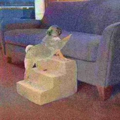 Pet Adobe High Density Foam 3 Tier Pet Steps - Tan -Animal&Pet Supplies store TG20Midco20LLC20dba20Trademark20Global20LLC 806326rsfxx4xx5a21bc