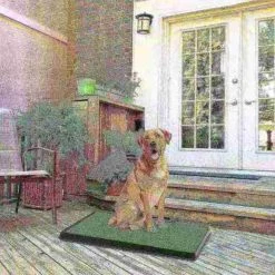 Pet Adobe Puppy Artificial Grass Potty Trainer Mat- Indoor/Outdoor Bathroom Rug for Dogs and Cats -Animal&Pet Supplies store TG20Midco20LLC20dba20Trademark20Global20LLC 836872mzsxx4xx0c0990