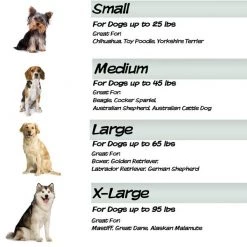 Pet Adobe Memory Orthopedic Foam Dog Bed- Sherpa Top and Removable Cover- 36x27x4, Gray -Animal&Pet Supplies store TG20Midco20LLC20dba20Trademark20Global20LLC 855617jkixx4xx722cc4