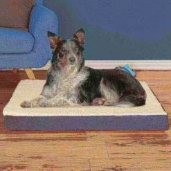 Pet Adobe Memory Orthopedic Foam Dog Bed- Sherpa Top and Removable Cover- 36x27x4, Gray -Animal&Pet Supplies store TG20Midco20LLC20dba20Trademark20Global20LLC 855617jkixx5xx39b1fb
